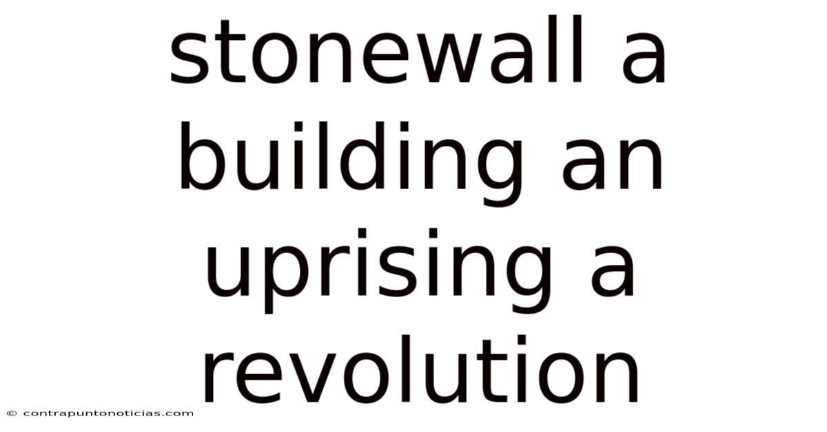 Stonewall A Building An Uprising A Revolution