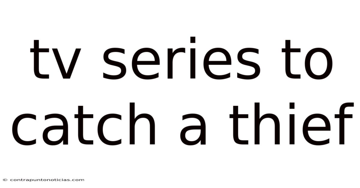 Tv Series To Catch A Thief