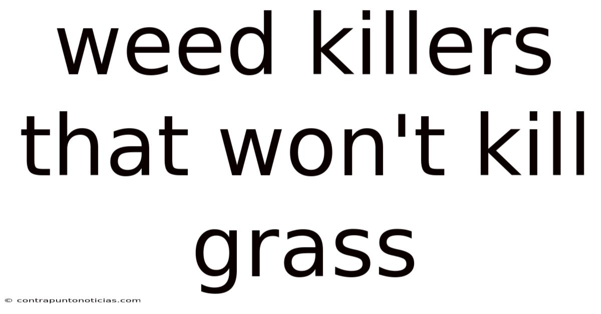 Weed Killers That Won't Kill Grass