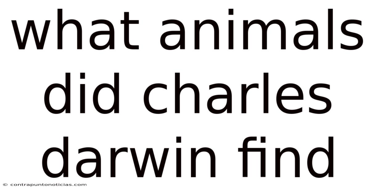 What Animals Did Charles Darwin Find