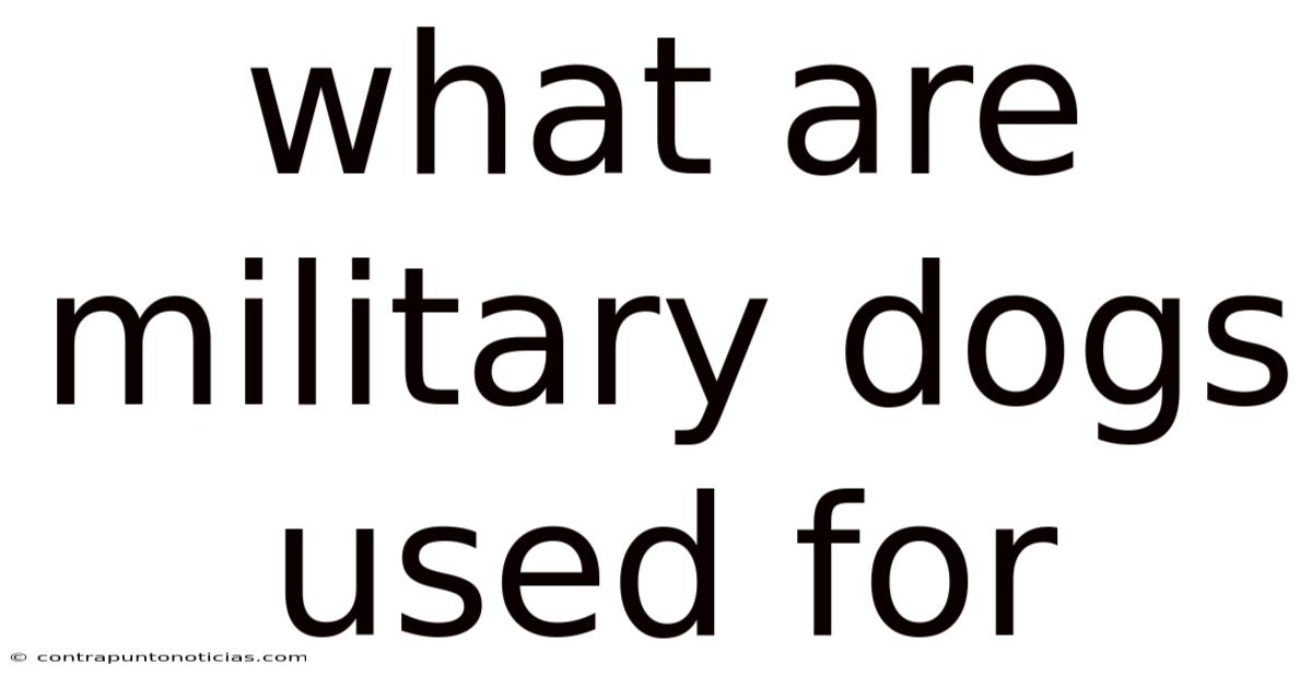What Are Military Dogs Used For