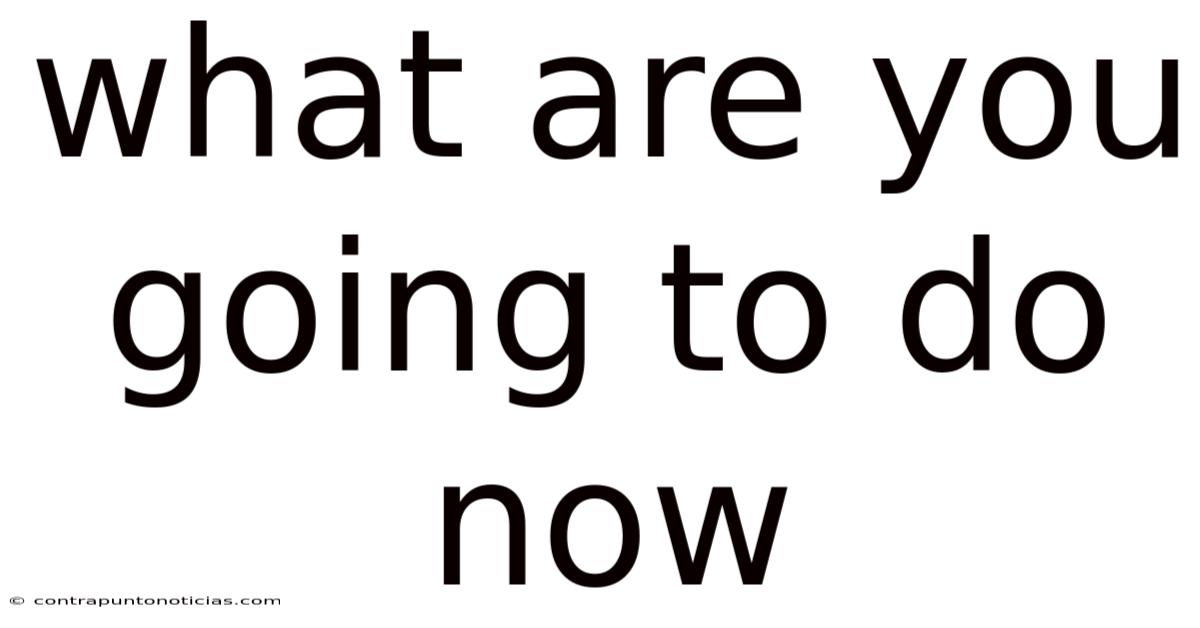 What Are You Going To Do Now