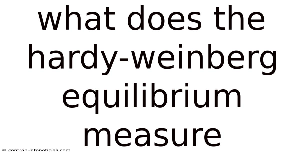 What Does The Hardy-weinberg Equilibrium Measure
