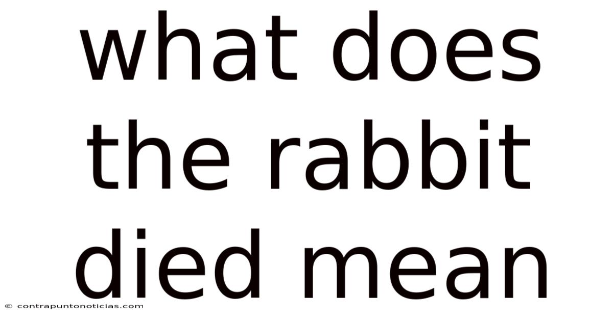 What Does The Rabbit Died Mean