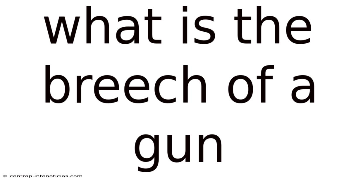 What Is The Breech Of A Gun