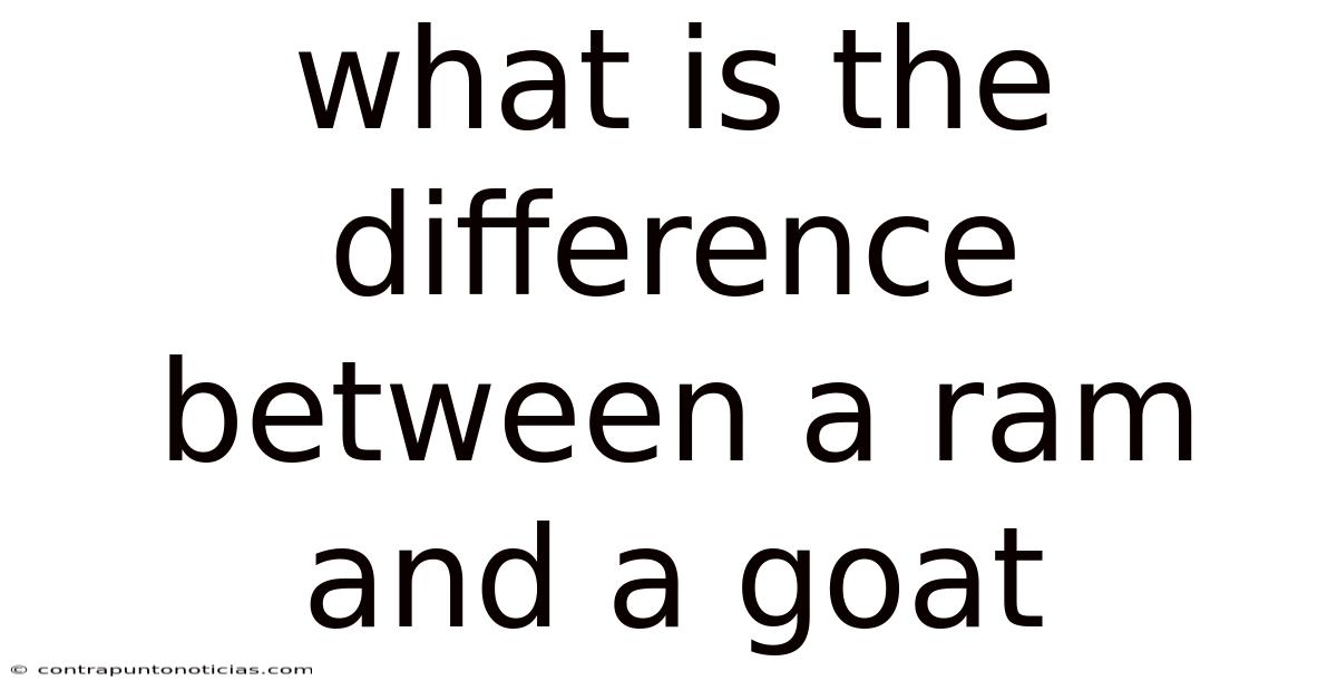 What Is The Difference Between A Ram And A Goat