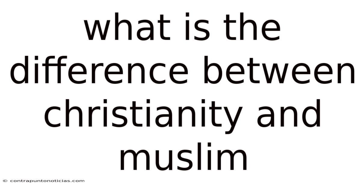 What Is The Difference Between Christianity And Muslim