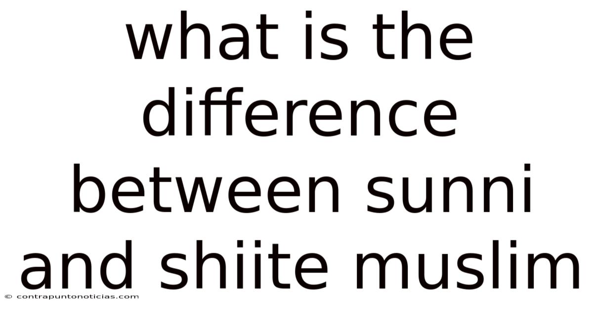 What Is The Difference Between Sunni And Shiite Muslim