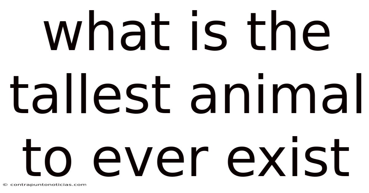 What Is The Tallest Animal To Ever Exist