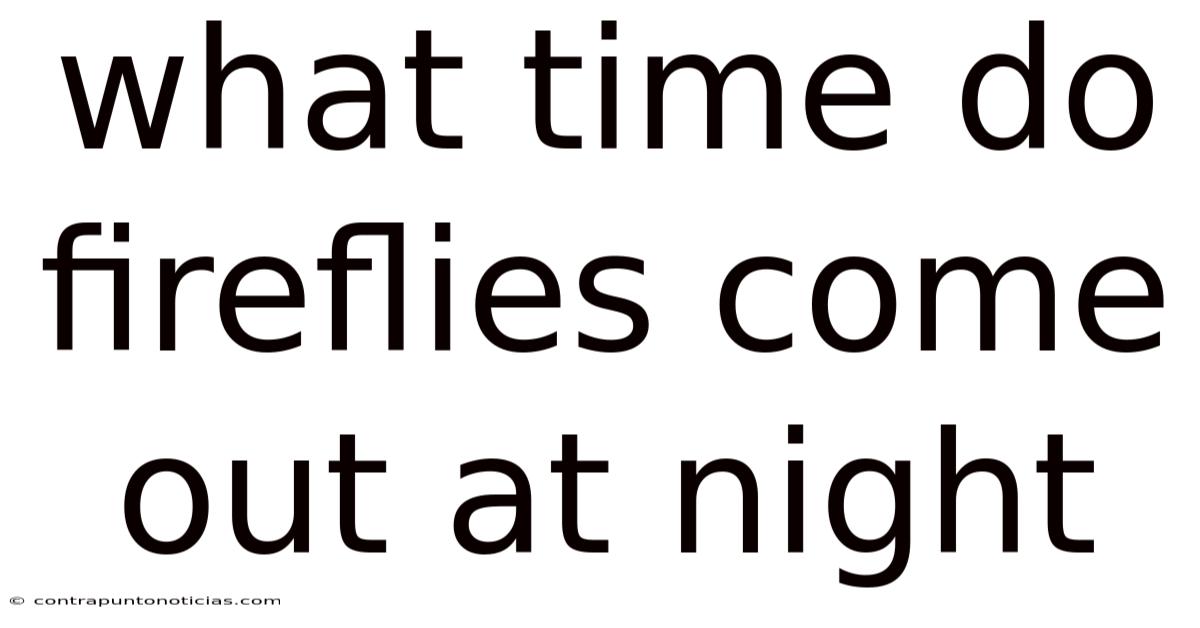 What Time Do Fireflies Come Out At Night