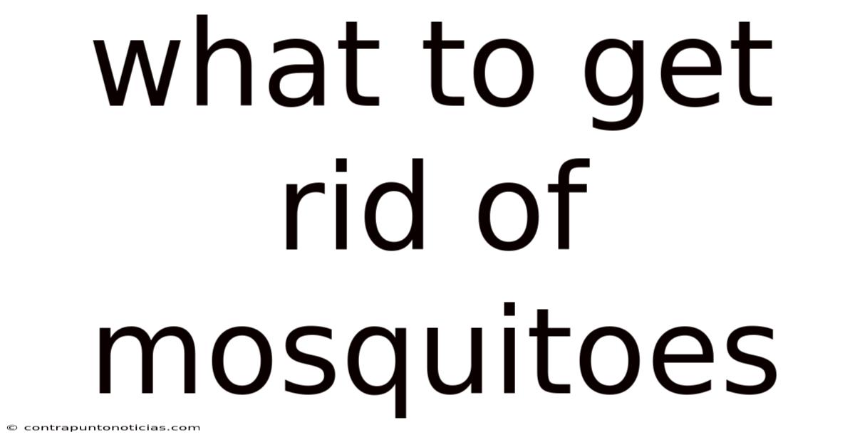 What To Get Rid Of Mosquitoes