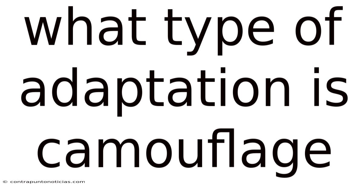 What Type Of Adaptation Is Camouflage