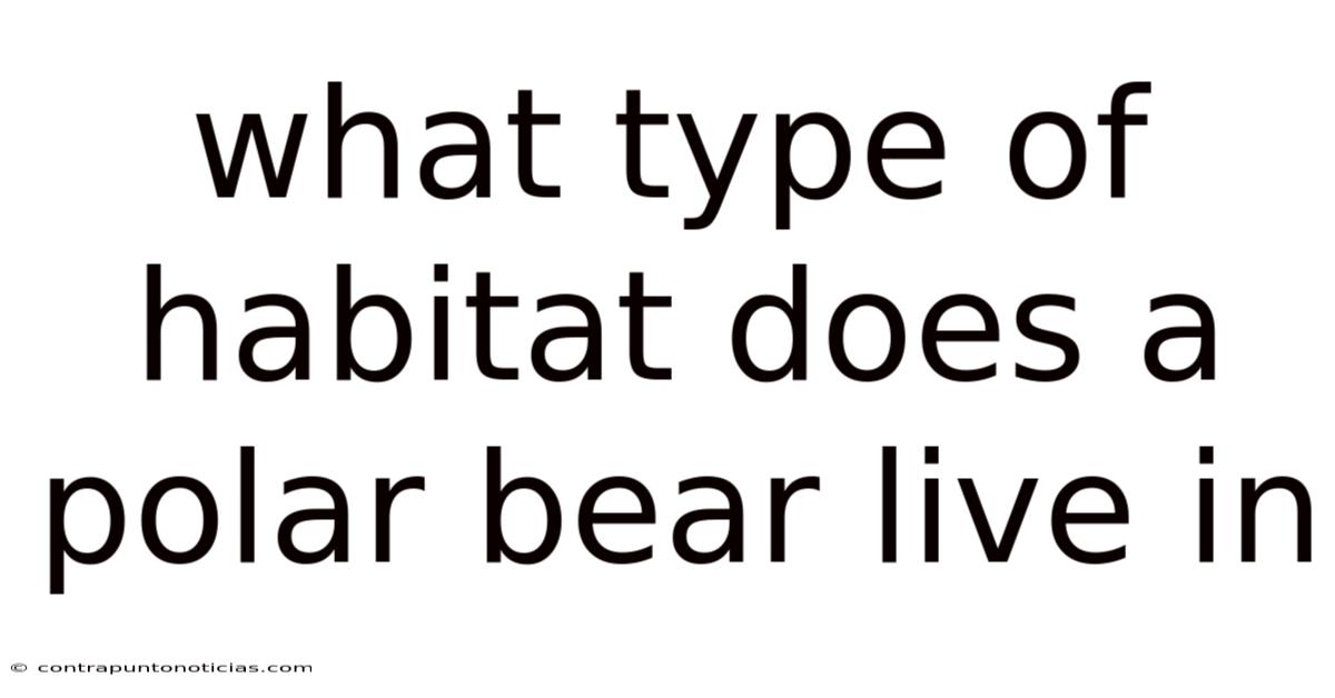 What Type Of Habitat Does A Polar Bear Live In
