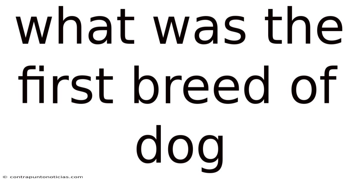 What Was The First Breed Of Dog