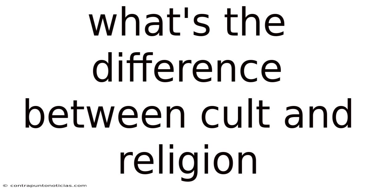 What's The Difference Between Cult And Religion