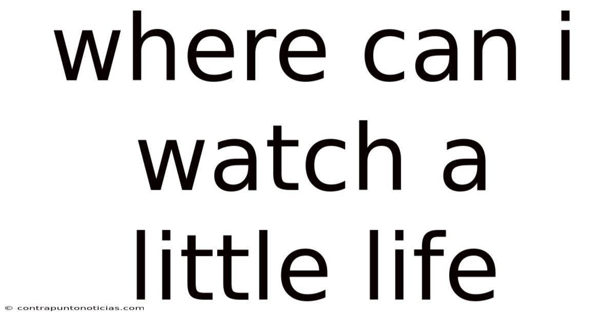 Where Can I Watch A Little Life
