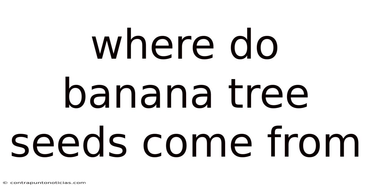 Where Do Banana Tree Seeds Come From