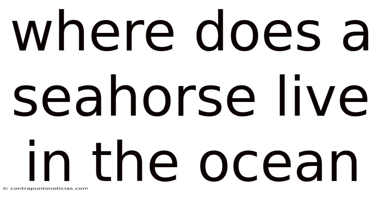 Where Does A Seahorse Live In The Ocean