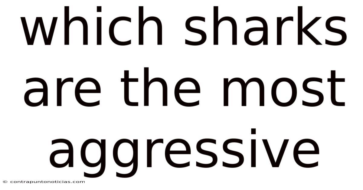 Which Sharks Are The Most Aggressive