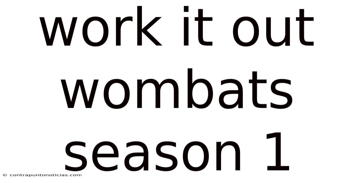 Work It Out Wombats Season 1