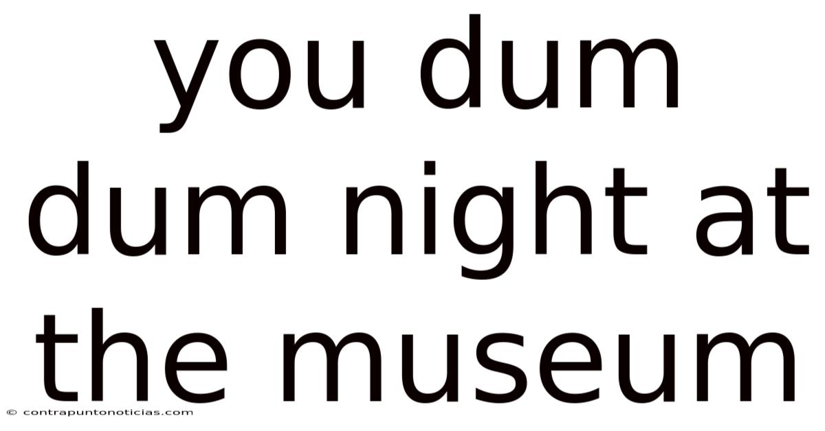 You Dum Dum Night At The Museum